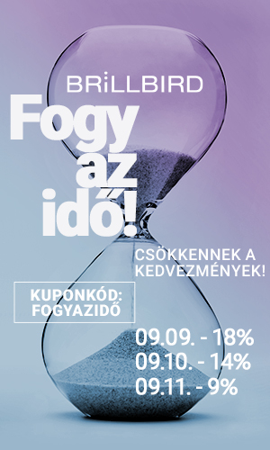 Kép
